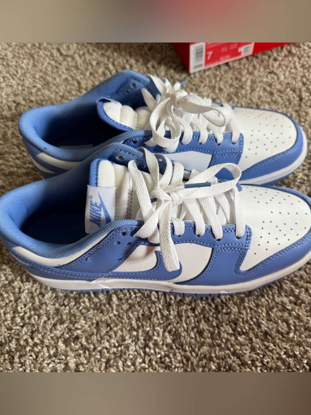 Nike dunks low retro